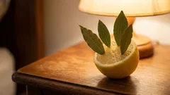 自分の部屋にレモンと月桂樹の葉を置いてください。翌朝、自分自身に感謝することでしょう。