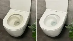  0.5リットルの水に2錠入れるだけで、最も古いトイレも新品のように輝きます。